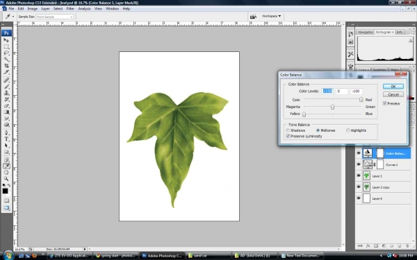 Creation of The Leaf: Step 4